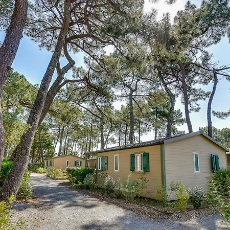 2 Bedroom Cozy In *